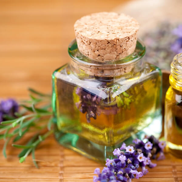essential oil lavender