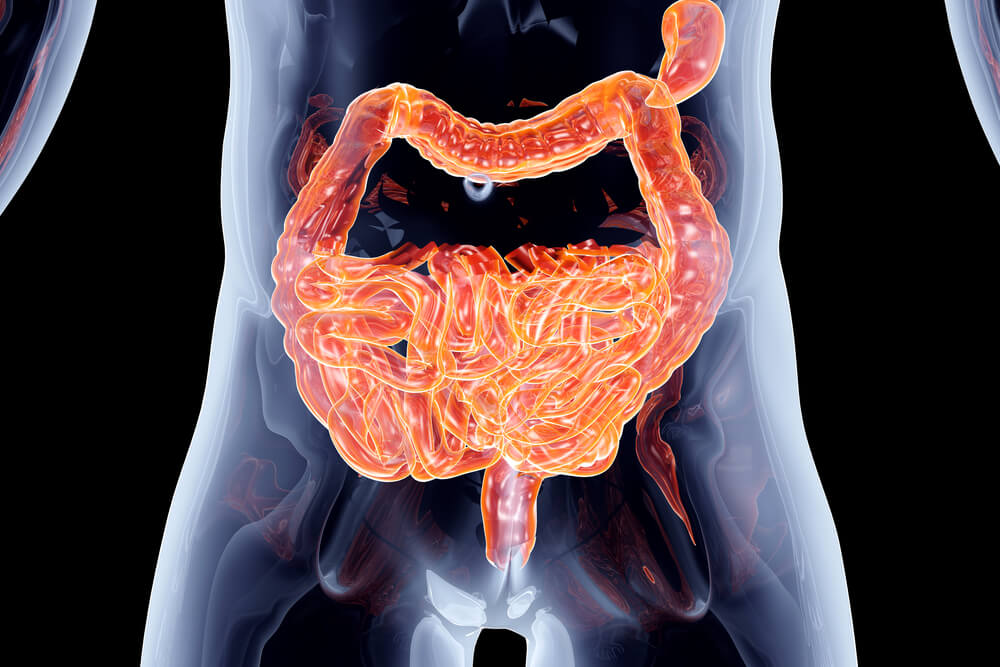 leaky gut rosacea