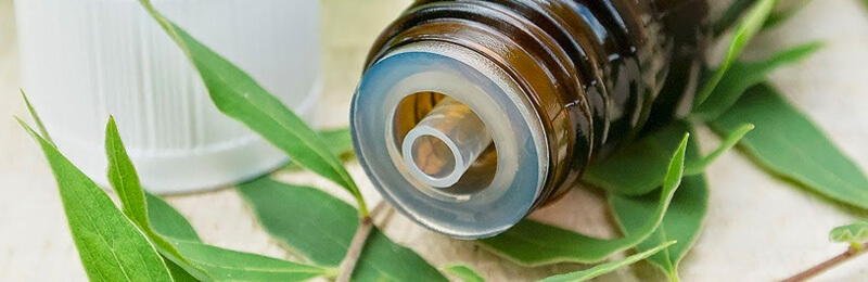 tea tree essential oil
