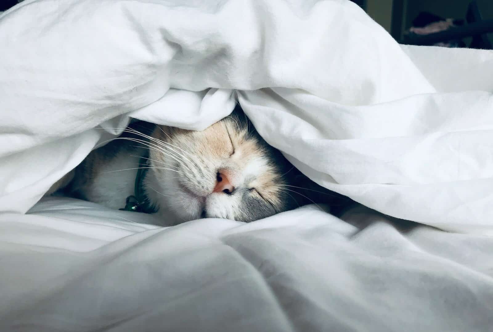 sleeping better